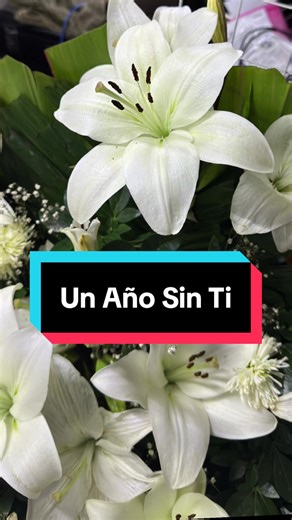 Un Año Sin Ti: Recordando a Luis Alberto Rodríguez