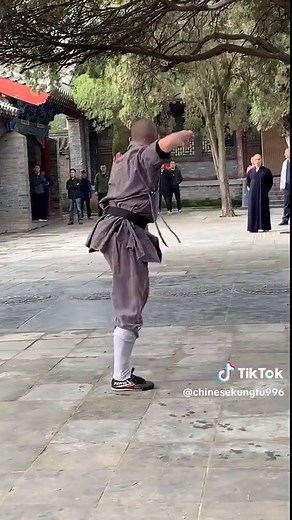 少林寺拳法：强大的中国功夫技艺