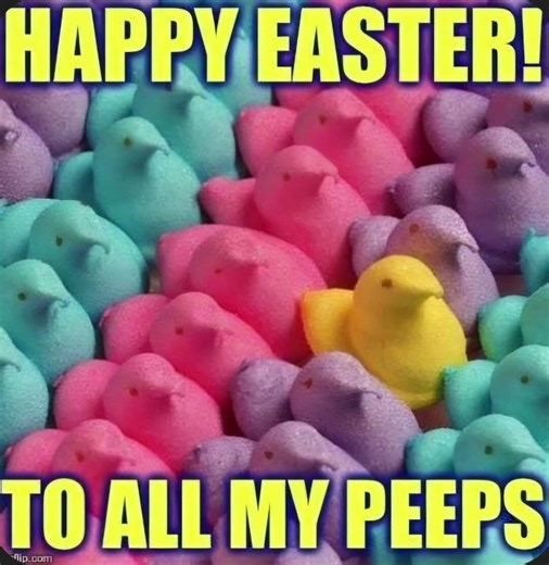 #memes #happyeaster