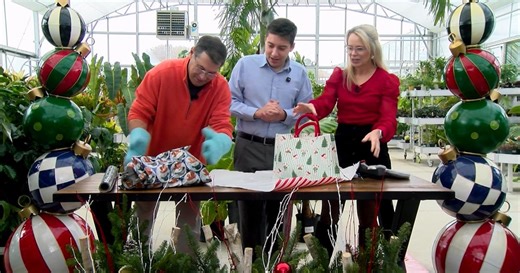 Lisa and Steve Challenge Each Other in a Special Gift Wrapping Competition