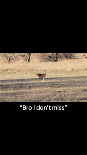 Expert Tips for Deer Hunting Success