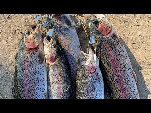 How to Catch Trout with Mini Jigs
