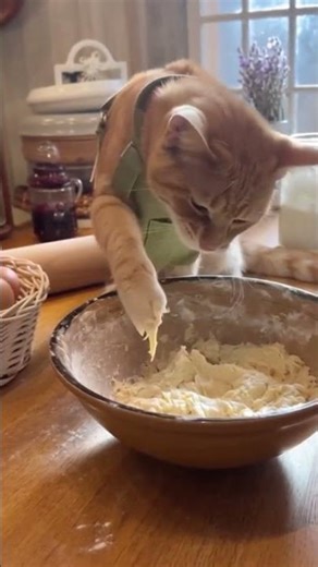 🍪 Chef Biscuit’s Dough Disaster! (Sticky Situation)