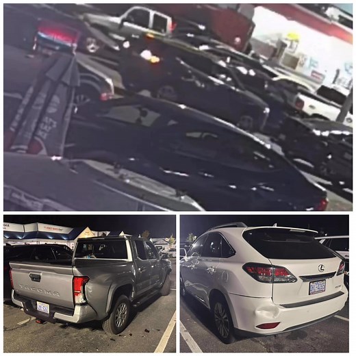 111K views · 243 reactions | ️ HELP IDENTIFY Looking for the owner...