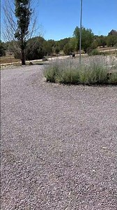 Using the #kiisu running #flipperzero firmware to copy my gate opener 🦾 #flipper #cybersecurity