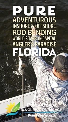 4.2K views | Get on the fish and enjoy a getaway that’s off the charts. While Florida’s best fishing may be what lures you here, you’ll also discover secluded beaches, fascinating nature, award-winning golf and much more. An outdoor wonderland awaits – come find your outside. Punta Gorda/Englewood Beach https://www.pureflorida.com/ | Florida Sport Fishing | Facebook
