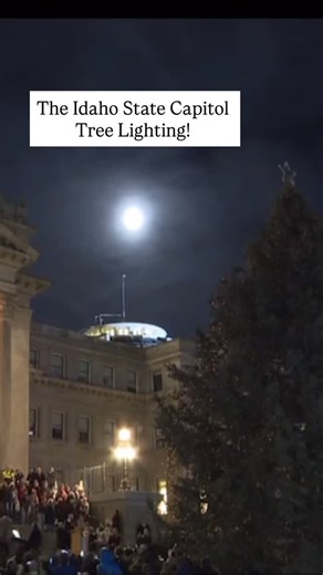 1.6K views · 128 reactions | What a beautiful tree!  #idaho #boise #capitolbuilding #treelighting @ktvb7 | Maggie O'Mara | Facebook