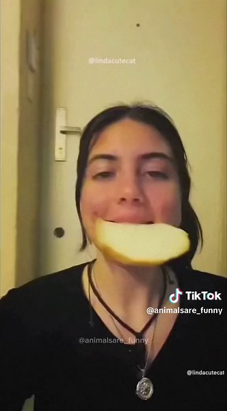 Hilarious Compilation of Dogs Stealing Food 😂