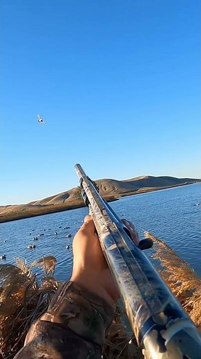 Love these types of quick shots ! #duckhunting #waterfowl #hunting ‪@bossshotshells‬