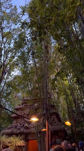 Indiana Jones Adventure feels like stepping straight into the chaos of the temple 🐍🔥