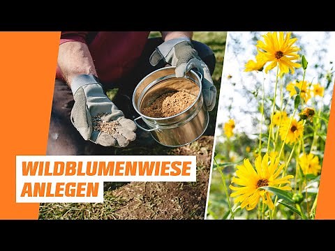 Creating a flower meadow | OBI | Natural garden - Episode 1