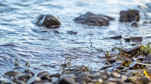 RICT & RIVPACS User Guides — Freshwater Biological Association
