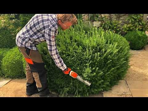 STIHL HSA 26