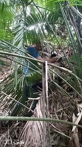 My only trusted black sparrow long range locator pagdating sa actual field detection survey exploration sa iba't ibang Lugar sa Pilipinas nabisita natin | Rodel Detectorist