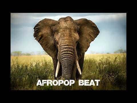 Sjava x Blaq Diamond x Nkabi Records iNdlovukazi" Afropop Type Beat