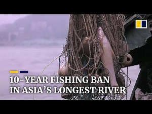 China imposes a 10-year fishing ban for Yangtze River to protect marine biodiversity