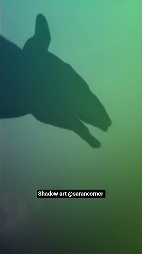 easy shadows art(dog barking)‪@sarancorner‬