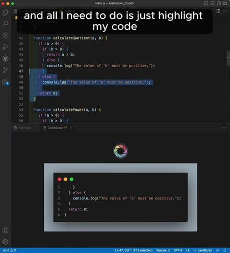 Oh Snap! CodeSnap!