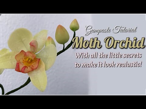How to Make a Gum Paste Orchid / sugar orchid flower tutorial