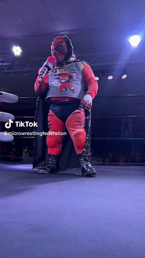 Micro Kitty Wrestler Meows in Hello Kitty Wrestling Match