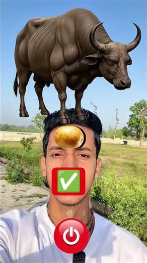 Lal button ko dabakar bhains Ko Mota Karen 🙏😭 #viral #funny #shorts
