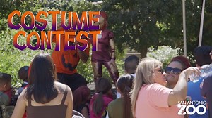 Calling all Ghouls and Goblins and don't forget to stop by during Zoo Boo! and experience fun for the whole family! | San Antonio Zoo