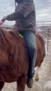 3K views · 56 reactions | 6867 | Ryon's Rescue Pen | Facebook