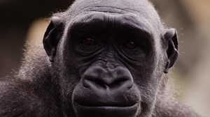 2.2K views · 65 reactions | Help us continue to deliver critical...