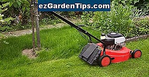 Cómo reparar un cortacésped Briggs & Stratton 🌱 Tips Jardineros - Es.ezGardenTips.com