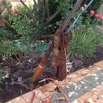 Our Work - Perth Bores