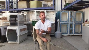 14K views · 1.3K reactions | Here's all you need to know about our...