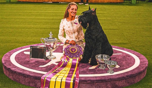 2025 Westminster Kennel Club Dog Show: Best in Show, group winners, more