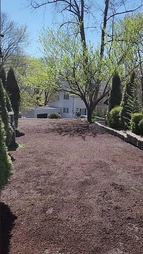 Sprinkler Setup on Bare Dirt — Getting Grass Seed Started 💧🌱