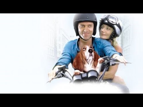 Maybe Baby Full movie Review and knowledge / Adrian Lester / James Purefoy