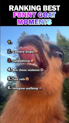 Ranking Best Funny Goat Moments🐐
