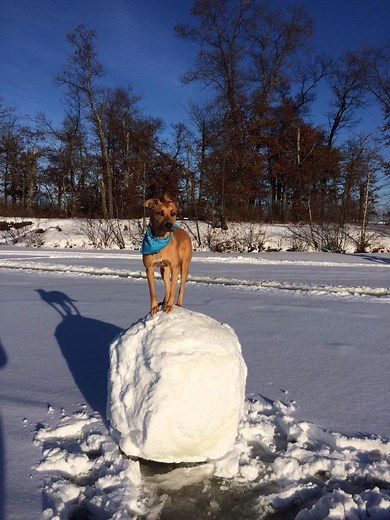 27 Things Minnesotans Do That Seem Odd To Everyone Else