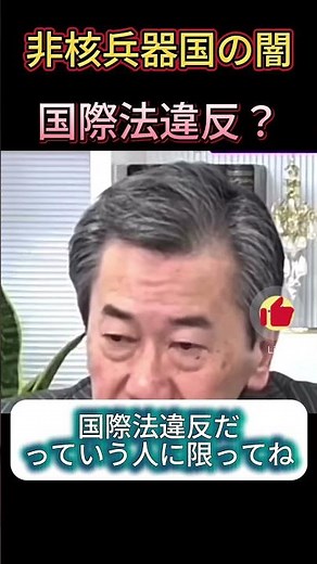 "A violation of international law?" Shingo Yamagami questions.