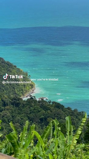 christina ammon on TikTok