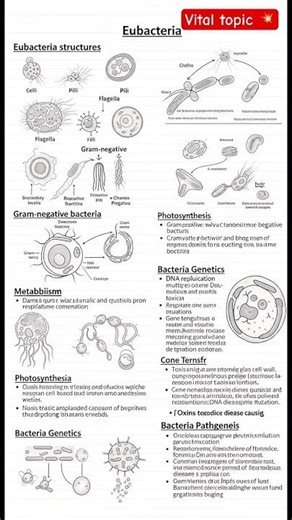 Eubacteria 🦠 | Tiny prokaryotes with huge impact! #NEETBiology #LivingWorld