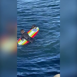 Rated Red on Reels | Facebook