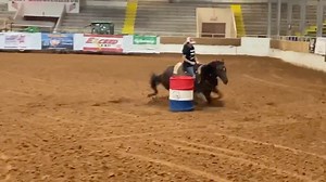 Going thorugh all my footage of training Stella before her futurity year to show exactly what her training was like for patreon.com/sharinhall This was an exhibition when Stella was 3! #barrelhorses #horses #barrelracinghorse #hellostella #horsetraining #Horses #barrelracingtips #horsetrainingtips | Sharin Hall Barrel Horses
