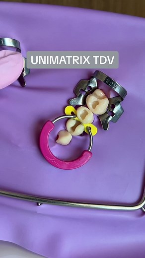 Como utilizar o sistema Unimatrix da TVD