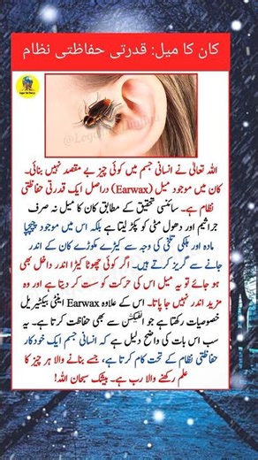 Why Earwax Is Important | Science Behind This Natural Protection