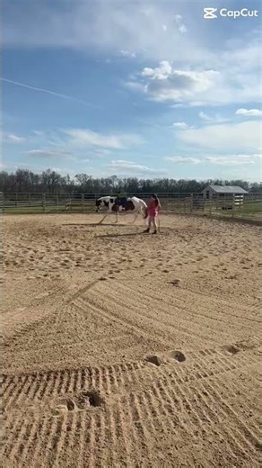 Head shakeeee! Why do my pants look like I have no pants on😭 I SWEAR I DO THO