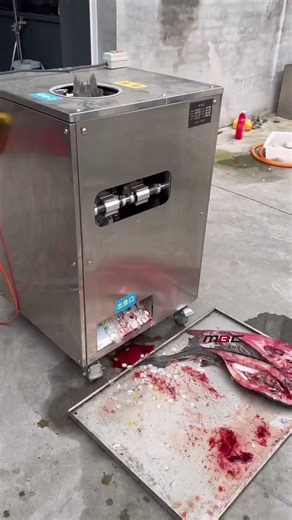 Fish cut machine