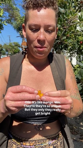 1.4K views · 5 comments | A tree that fruits during winter! #urbanforaging | Chef Charlie Ray | Facebook