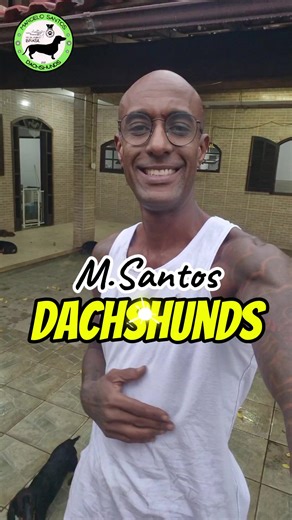 Dachshund Dogs Taking a Bath: Cute Moments to Enjoy