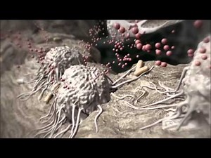 CGF Osseointegration Animation
