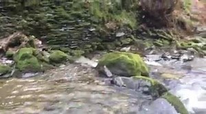 277 reactions · 50 shares | The Railway may be resting, but Dolgoch Falls rumble on today. Why not explore the stunning Waterfalls this February Half Term? www.talyllyn.co.uk | Talyllyn Railway | Facebook