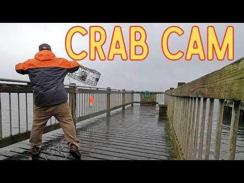 Dungeness crabbing Washington coast GoPro under water